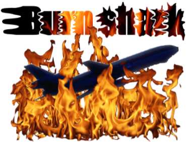 Burn Shark logo