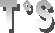 TS
